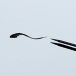 Black formula is safe for sensitive eyes and applicator helps achieve a precision for a winged, cat eye look